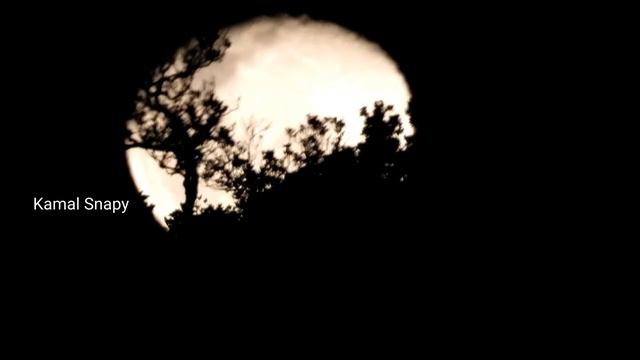 Moonrise: 125X Zoom Moon From Nikon P1000 | Moon Closeup View смотреть онлайн