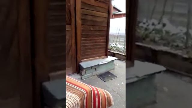 Кролики великаны, немецкий великан,Kaninchen deutscher Riese смотреть онлайн