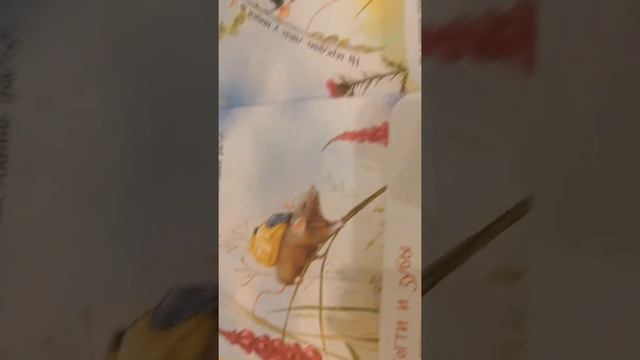 мои книги про животных я мышь я жира я дельфин 1 часть смотреть онлайн