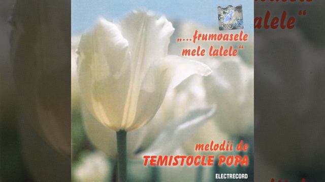 Lalele - Luigi Ionescu