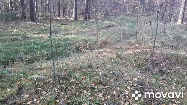 Прошлые жизни | Где хранится информация о прошлых жизнях смотреть онлайн
