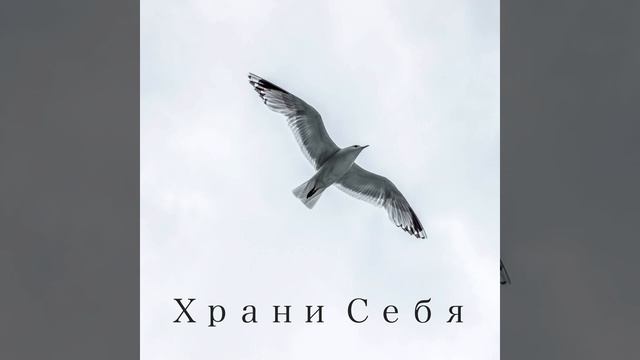 Остров друзей смотреть онлайн