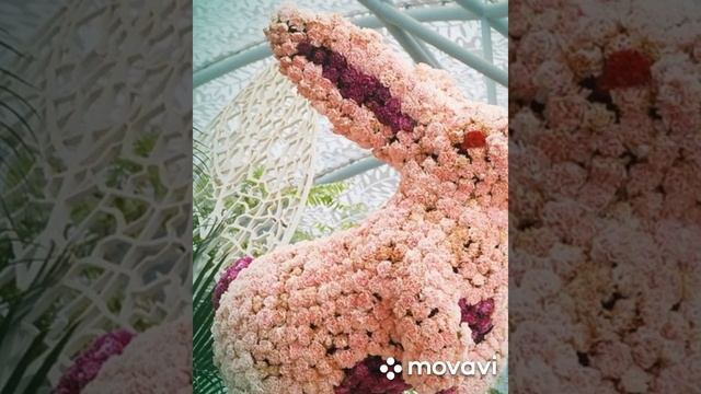 Фигуры из живых цветов со всего мира. смотреть онлайн