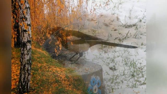 Проект "Народный календарь". Иванов день смотреть онлайн