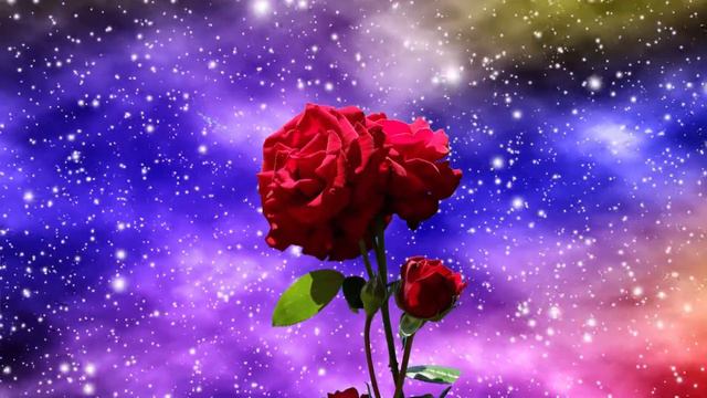Purple Classic Galaxy ~15 Second red rose in Space Wallpaper~ FREE Motion Background HD 4K 50fps смотреть онлайн