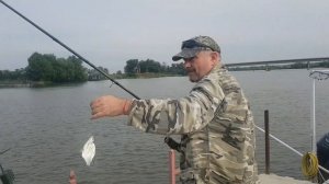 Карпы ловятся на ПЛАСТИЛИН.Снасть убийца карася ловит КАРПА.