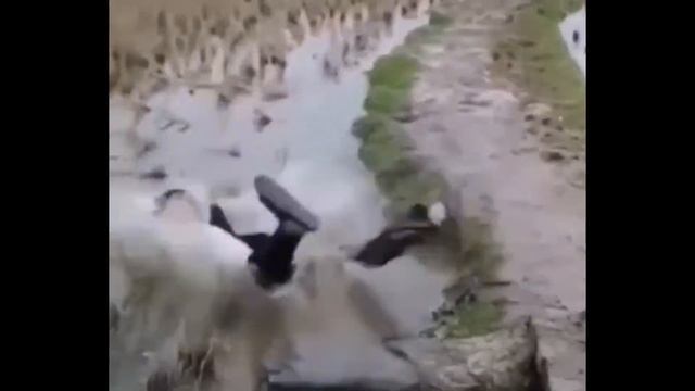 ЗДЕСЬ ВСЕМ ТАК ПОВЕЗЛО ЧТО ЧУТЬ НА ТОТ СВЕТ ВСЕХ НЕ УНЕСЛО смотреть онлайн