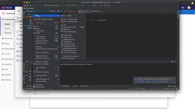 SDA - Setting up CLion projects and Git смотреть онлайн