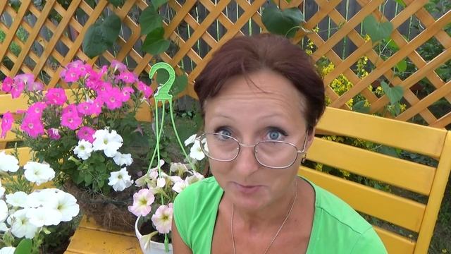 6 соток 14 июля... Кошка и валериана на капусте. смотреть онлайн