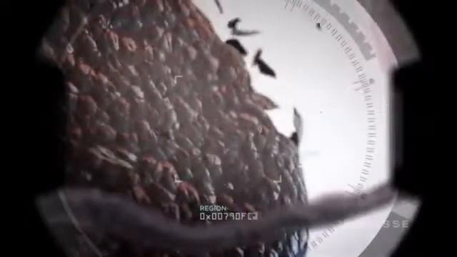 Jeunesse Global Россия смотреть онлайн
