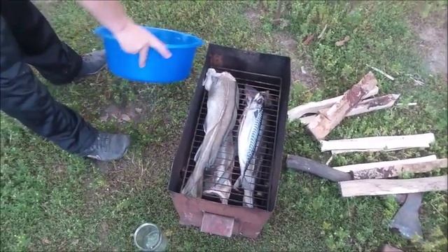 Рыба горячего копчения!Коптим рыбу дома