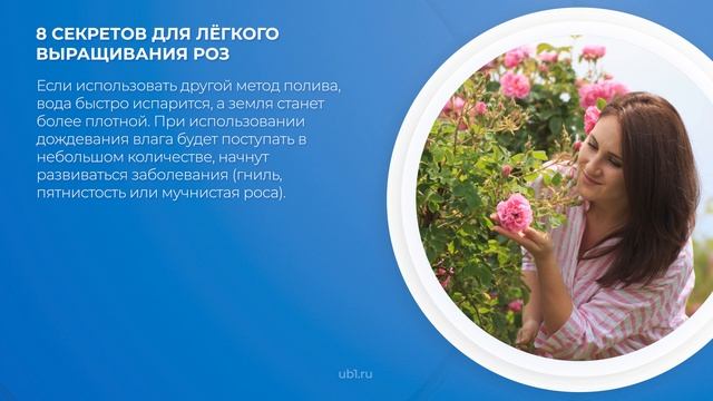 Интернет курс обучения «Цветоводство» - 8 секретов для лёгкого выращивания роз смотреть онлайн