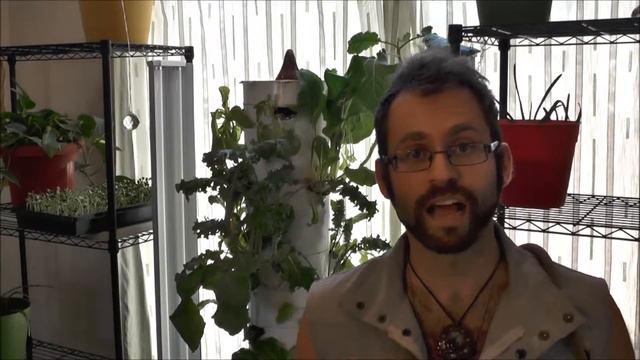 Essential Oil Wizardry - Violet Chill смотреть онлайн