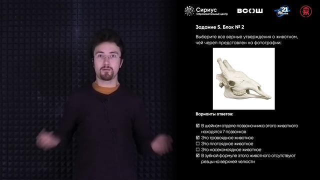 Разбор заданий школьного этапа ВсОШ по биологии, 11 класс, 3 группа регионов смотреть онлайн