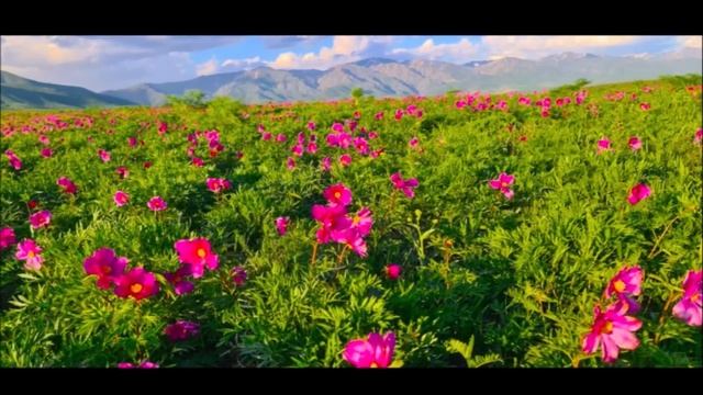 День Матери !Я покажу вам свою Родину! смотреть онлайн