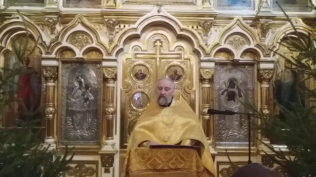 Проповедь отец Александр Зелененко 07.01.2019 смотреть онлайн