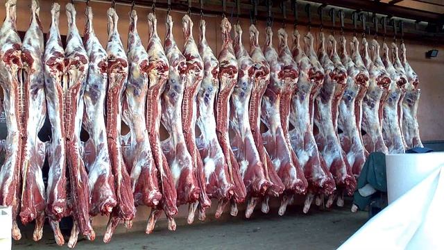 ТОП 5 бизнес идей в гараже с минимальными вложениями смотреть онлайн