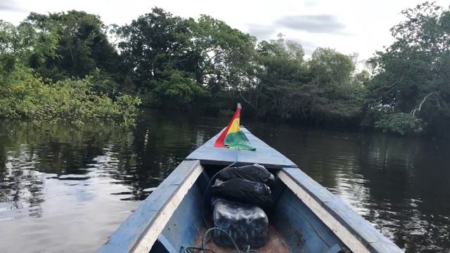 Боливия.Экотур в боливийские пампасып.Розовые дельфины по пути следования в эколодж.Июнь2018 смотреть онлайн