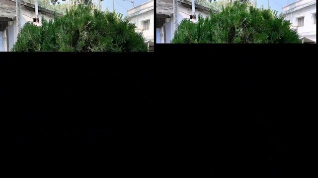 Redmi Note 12 5G VS Redmi K50i 5G Camera Comparison