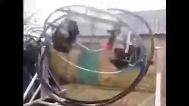 Домашний аттракцион(высший класс) смотреть онлайн