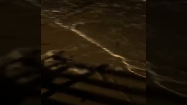 Кафе Дача после шторма :) смотреть онлайн