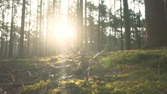 Думай О Хорошем Или Как Начать Мыслить Позитивно / Positive Thinking смотреть онлайн