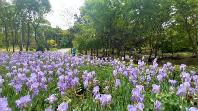 ОДЕССА КАФЕ «КОМПОТ» 12 ИЮНЯ 2023❗️ПРОГУЛКА В ПАРКЕ ПОБЕДЫ ??❗️ смотреть онлайн