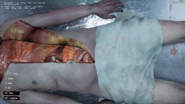 Autopsy Simulator Playtest