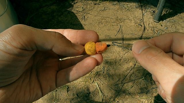 На что клюет дикий карп. смотреть онлайн