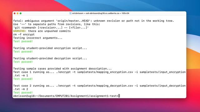 Testing your C Programs Using Bash Scripts смотреть онлайн