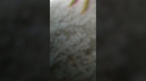 Обновляем редми ноут 10 про