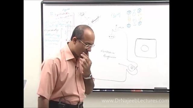 Cell or Plasma Membrane | Structure , Function & Transport🧬 смотреть онлайн