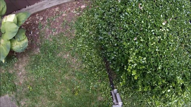 Boxwood 3-minute trim with power shears смотреть онлайн
