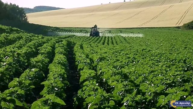 Внесение фунгицидов и микроэлементов на подсолнечник смотреть онлайн