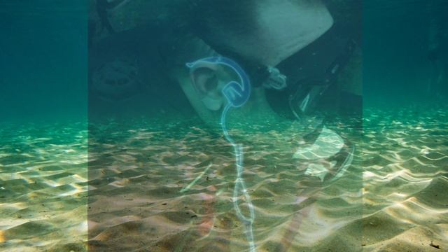 DEUS II by XP Metal Detectors смотреть онлайн