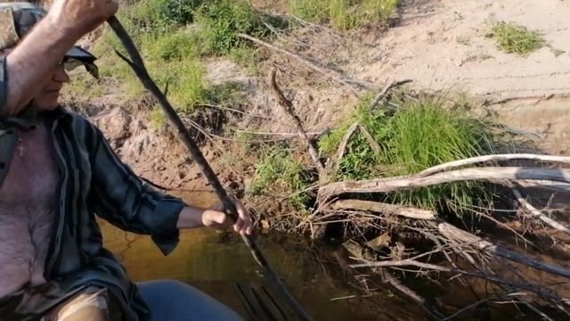 РЫБАЛКА на реке Ветлуга. Как ставить ЖЕРЛИЦЫ. ОГРОМНЫЙ СОМ смотреть онлайн