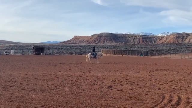 SOLD!!!!! TOAD" RANCH PONY FOR SALE смотреть онлайн