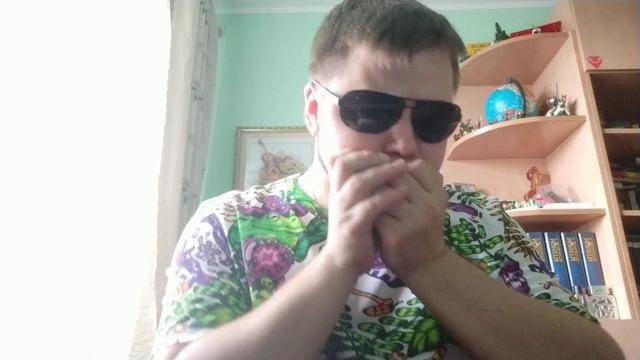 Ozzy Osbourne -- Crazy train harmonica cover смотреть онлайн
