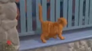 Песня-эй ТОЛСТЫЙ