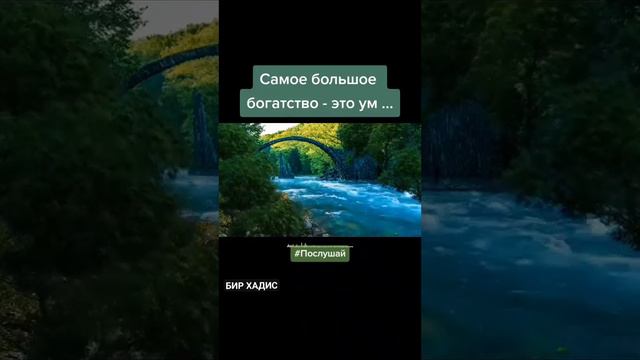 Самое большое богатства-это ум... смотреть онлайн