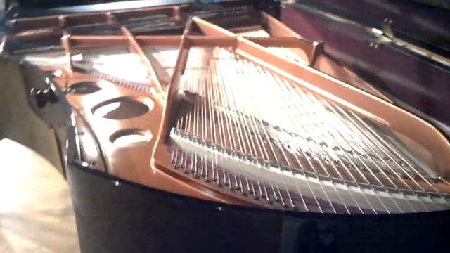 Bosendorfer 225 - 7'4 with 92 keys смотреть онлайн