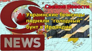 Украинские беженцы подняли «голодный» бунт в Ирландии