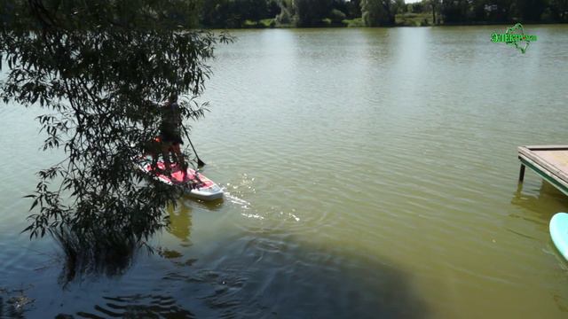 Сегодня на Каменском пруду 28.07.2024.
