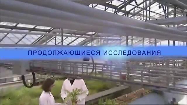 Bayer, 'Бетанал', адоптация ролика на русский язык смотреть онлайн