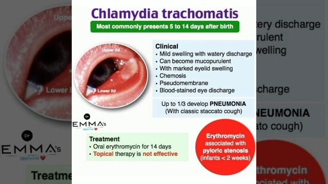 💠 Chlamydia trachomatis 💠 смотреть онлайн