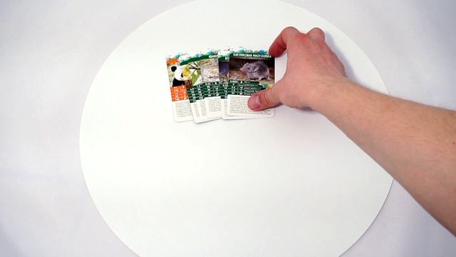 Секреты Планеты: Животные Азии. Обзор настольной игры от компании Стиль Жизни смотреть онлайн