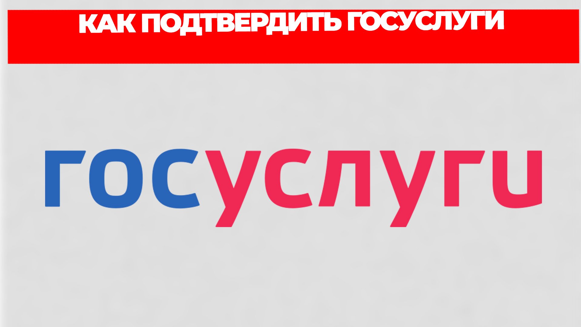 Всезнающий Енот