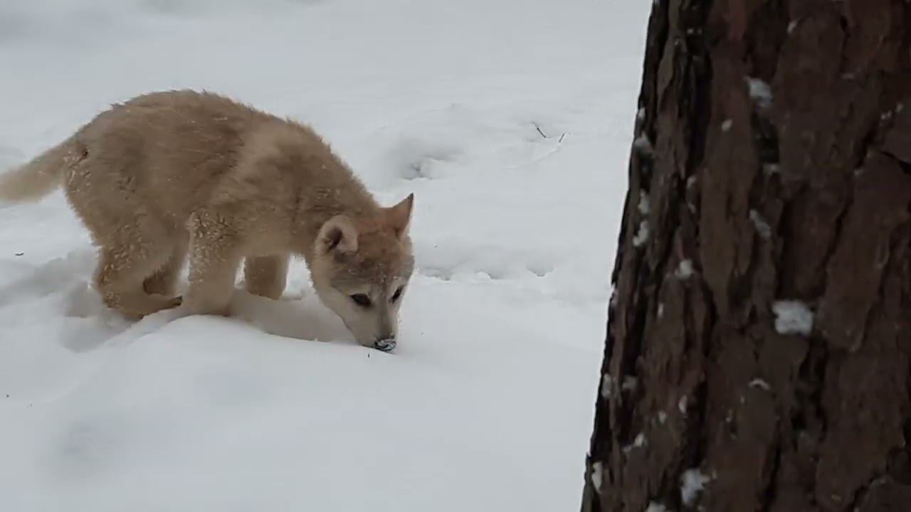 20240216 163204 смотреть онлайн