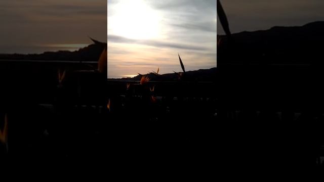 The J. Paul Getty Museum, video of surrounds at dusk. Los Angeles смотреть онлайн