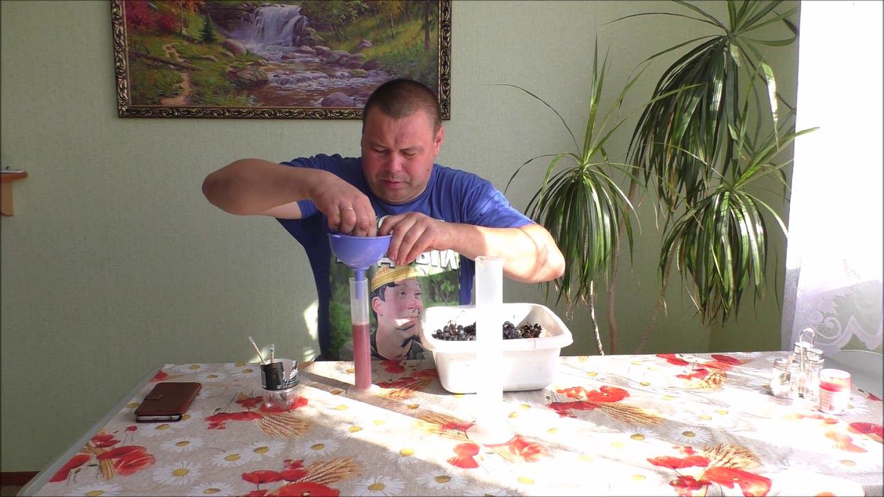 Сколько сахара в Подмосковном винограде?